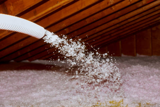 Best Commercial Insulation Services  in Le Sueur, MN